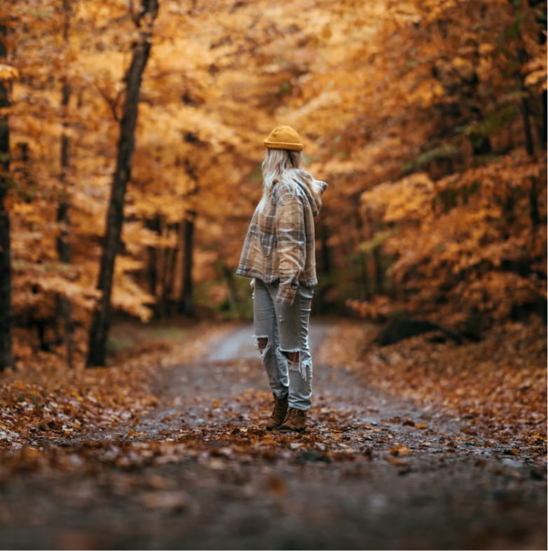 scandina chalets activite randonnee