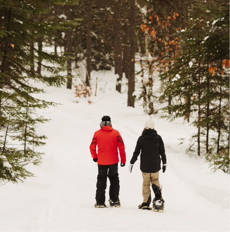 scandina chalets activite raquette