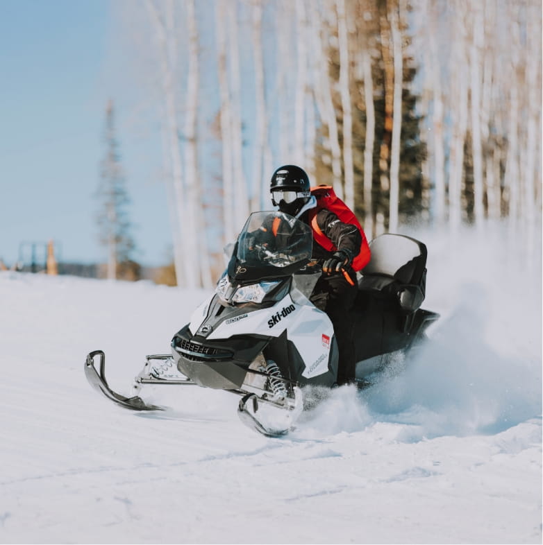 scandina chalets activite skidoo